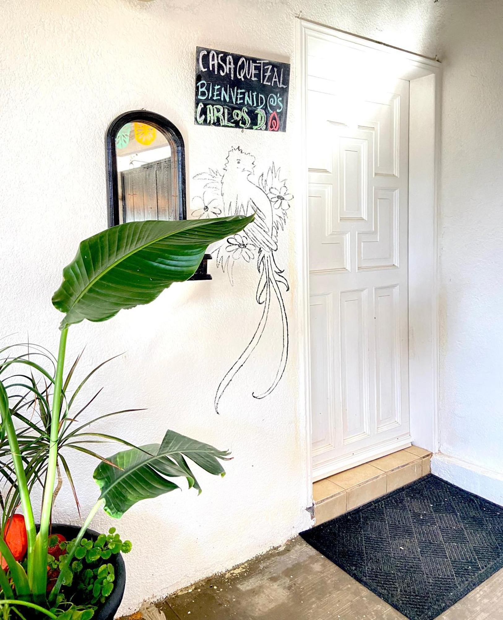 Quetzal House Lejlighed Tijuana Eksteriør billede